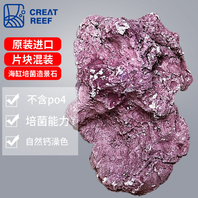 日本CREAT REEF创礁人礁岩培菌造景石珊瑚海缸人造活石钙藻色片块