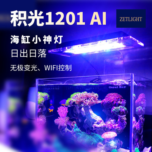 积光1201AI日出日落LED珊瑚灯