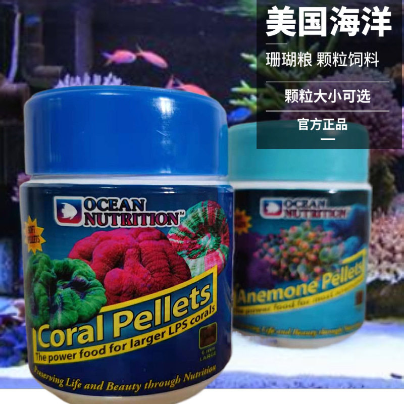 美国海洋海葵脑类大颗粒珊瑚粮