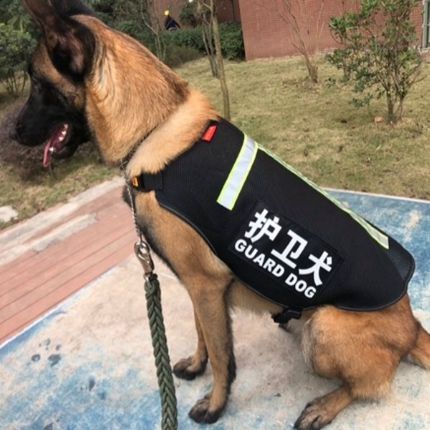 德牧马犬金毛衣服消防搜救犬背心