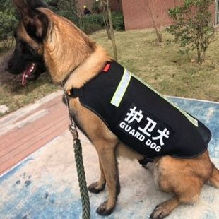 宠物秋季狗衣服透气金毛杜宾大型犬德牧背心马甲工作马犬战术胸背