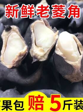 洪湖老菱角新鲜粉糯凌角