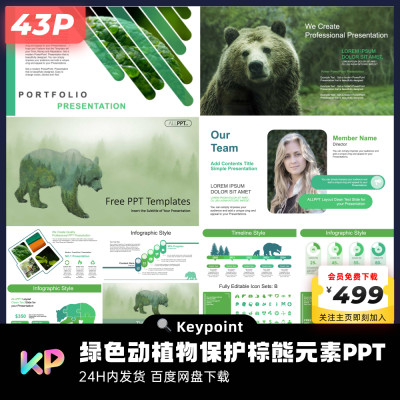 43页动植物保护棕熊元素PPT模板ppt设计互联网大厂keypoint