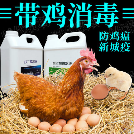 鸡舍消毒液鸡场防鸡瘟新城疫鸡舍用消毒液鸡鸭鹅养殖场专用消毒水