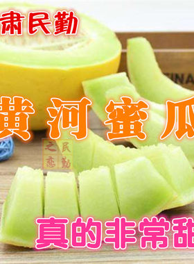 黄河蜜瓜甜瓜黄皮绿瓤顺丰包邮