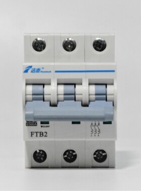 江苏法泰电器FTB2系列小型断路器FTB2-63C1P2P3P4P-1A16A25A·63A
