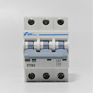 江苏法泰电器FTB2系列小型断路器FTB2 1A16A25A·63A 63C1P2P3P4P