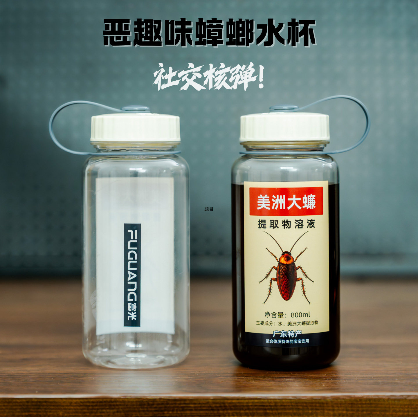 美洲大蟑螂整蛊道具康复蟑螂水杯