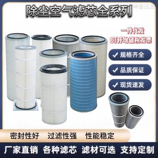 批发可定滤筒粉尘过滤抛丸机粉末回收工业除尘滤筒聚酯布除尘滤芯