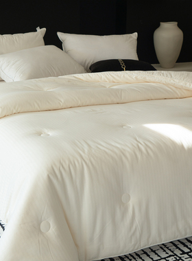 ins简约白色秋冬加厚保暖全棉3D提花大豆被被子200*230cm双人被芯