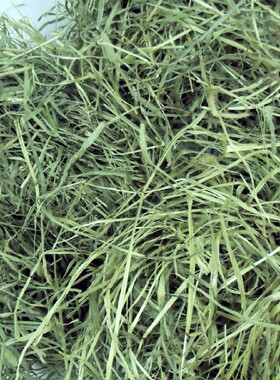 25年新草兔草兔子草粮提草提摩西草干草豚鼠粮龙猫荷兰猪饲料500g