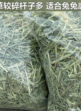 5斤装包邮25年新提摩西草干草兔粮短草兔子龙猫豚鼠荷兰猪提草粮