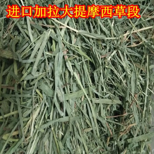 加拿大Canada进口提摩西草段提