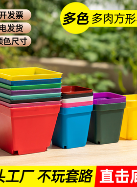 室内简约多肉方形花盆塑料加厚大号小黑方白色彩方扦插育苗盆