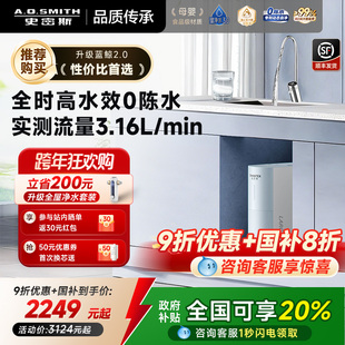 AO史密斯佳尼特蓝鲸2.0家用直饮机净水器2500BM1 全国补贴20%