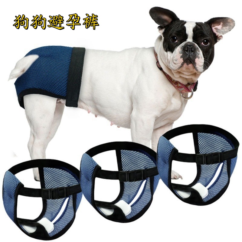 狗狗避孕褲母狗防交配月事褲
