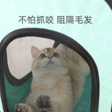 ПЭТ сушильный элемент 宠物烘干箱狗狗猫咪吹毛神器泰迪比熊专用洗澡吹风机自动烘干袋