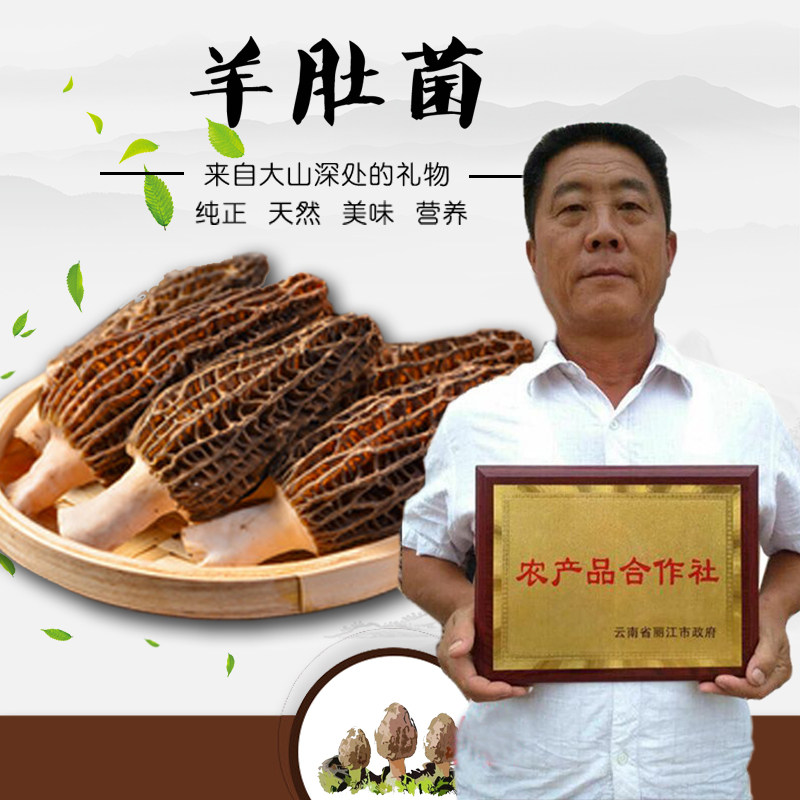 羊肚菌干货野生特级500g云南