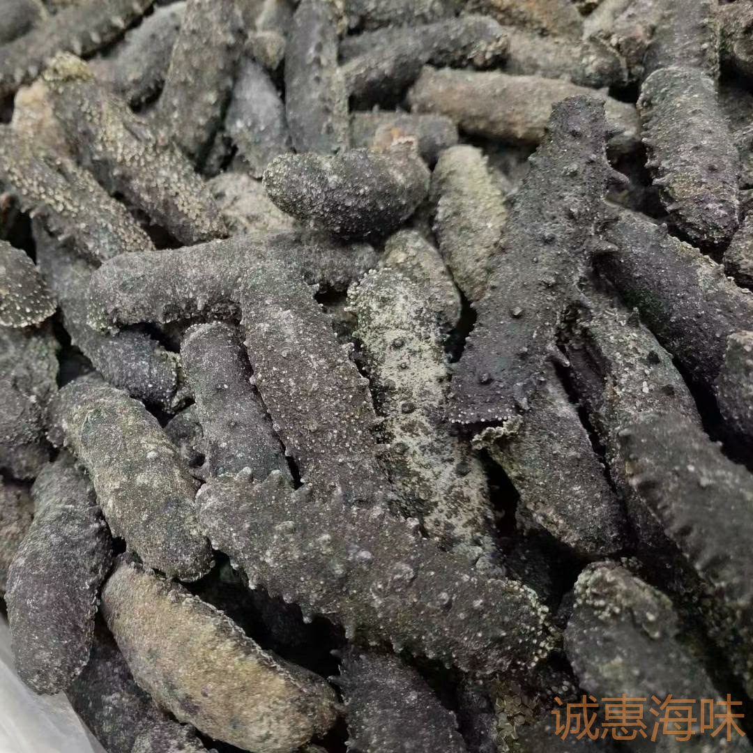 日本关西参 纯淡干关西海参足干a货北海道野生海参干货滋补品500g