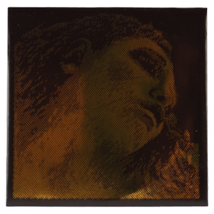 Pirastro Evah Pirazzi 小提琴金美人4/4成人演奏级尼龙琴弦