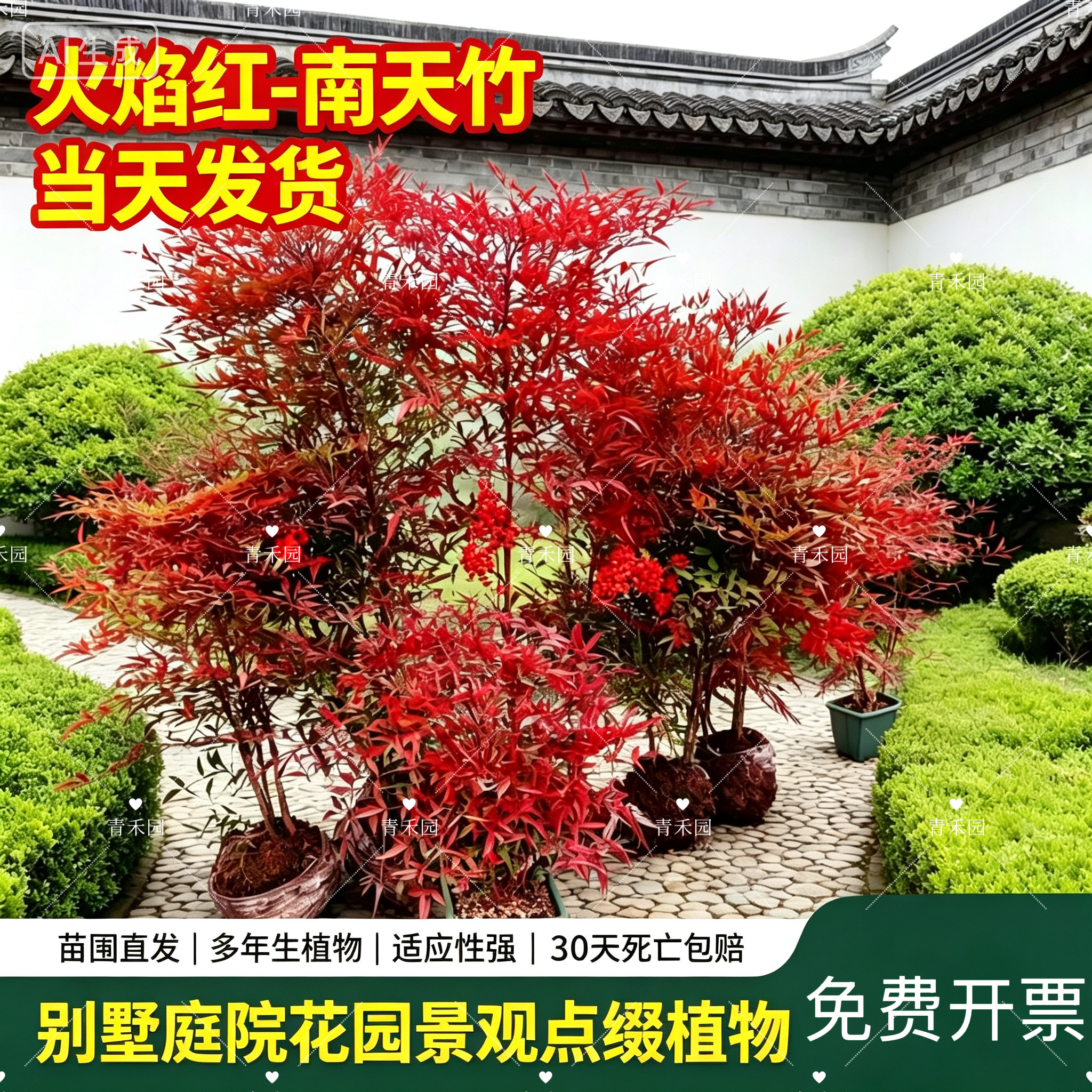 四季好养耐寒室内造景庭院