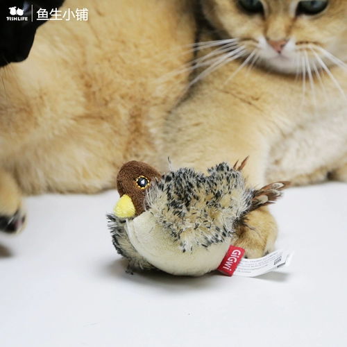 鱼生 小铺 捕猎 捕猎 贵 贵 小鸟 老鼠 猫咪 玩具 逗 猫棒仿真发声 猫棒仿真发声 猫棒仿真发声 猫棒仿真发声 猫棒仿真发声 猫棒仿真发声 猫棒仿真发声