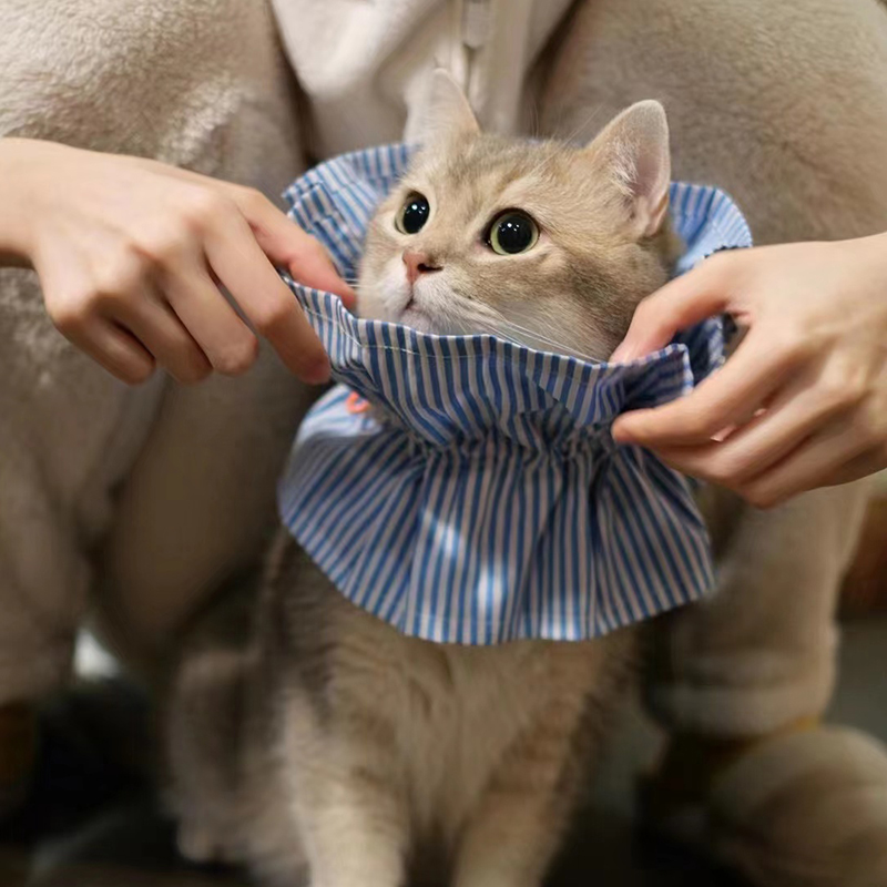 新品鱼生小铺 lazyeazy伊丽莎白圈宠物脖套驱虫防舔猫咪狗狗围脖