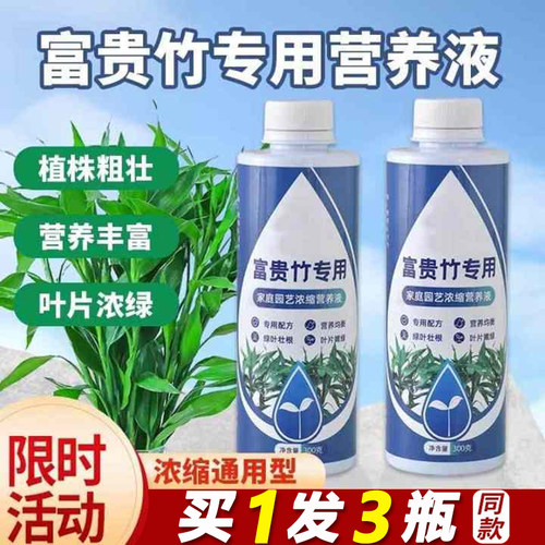 富贵竹专用营养液水培治黄叶