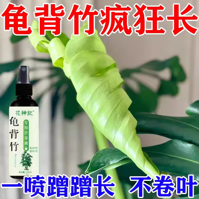 龟背竹营养液免稀释喷施液体肥图片