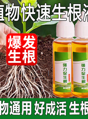 快速生根液绿植物通用扦插移栽花卉树木强力壮苗生根剂多肉生根