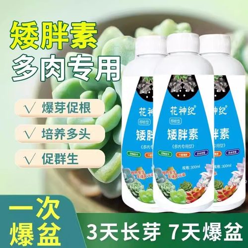 多肉专用矮胖素防徒长增肥上色