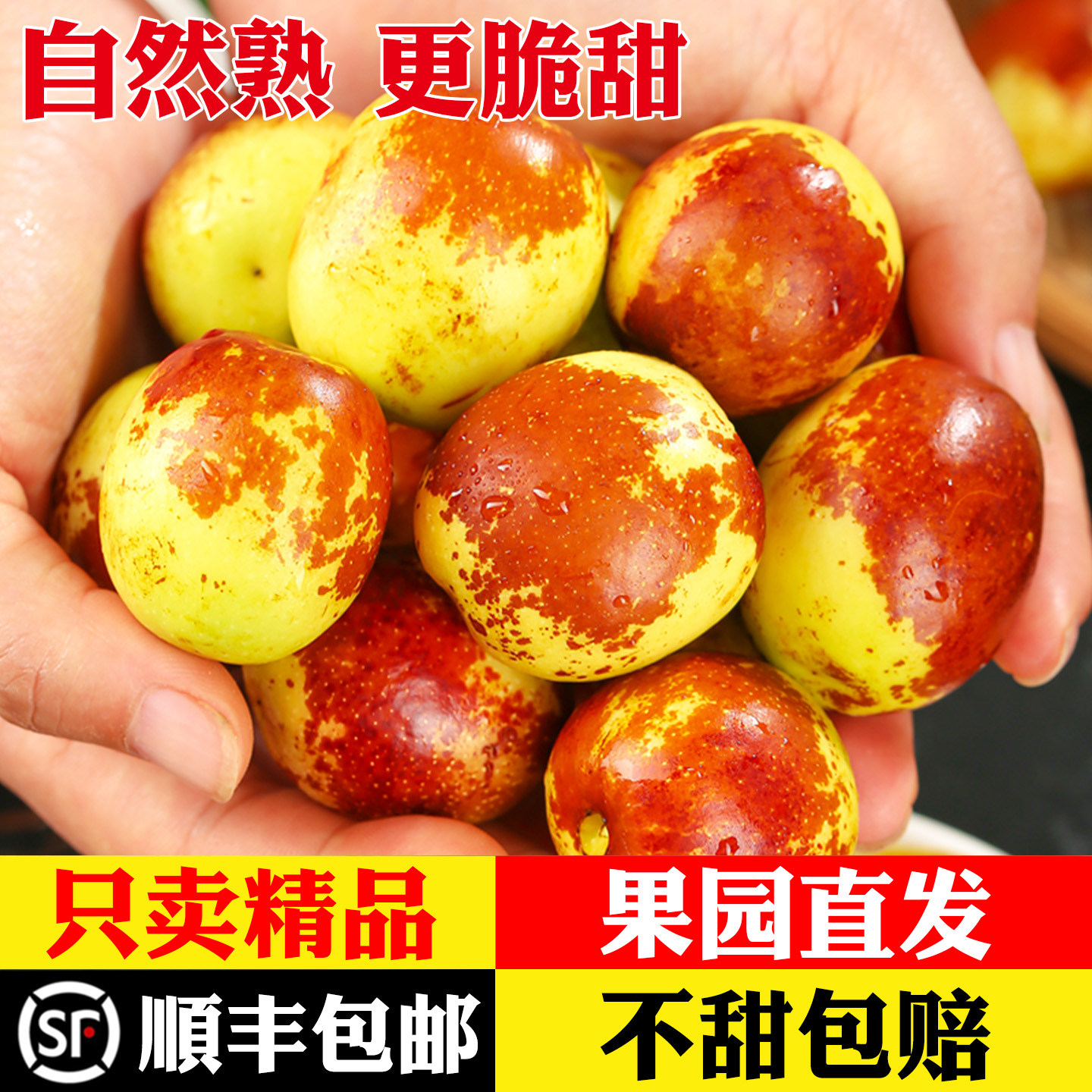 山东沾化冬枣新鲜大枣脆甜应季水果枣子当季鲜枣5斤整箱顺丰包邮