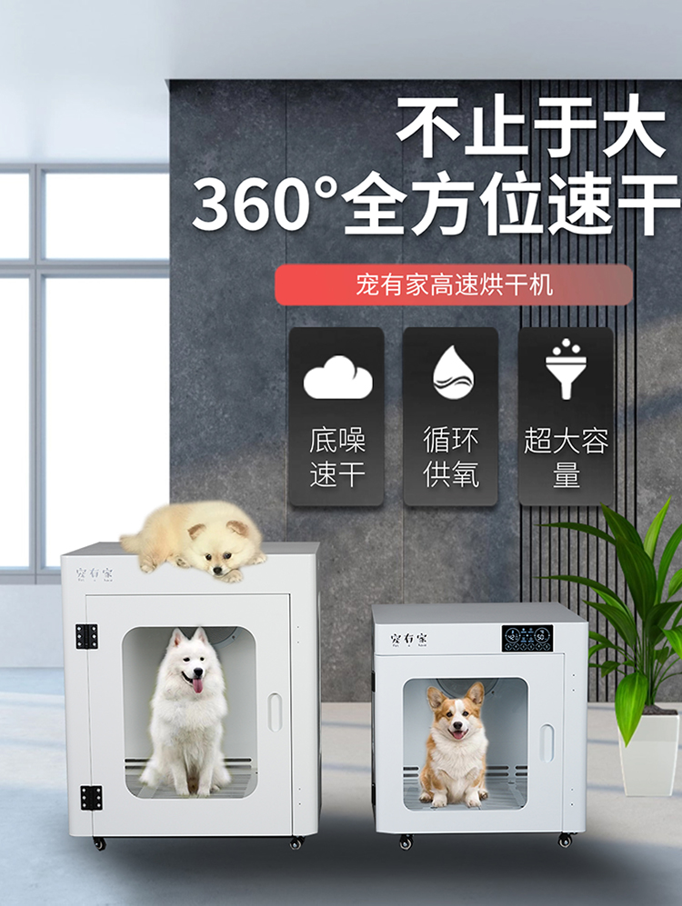 宠有家全智能宠物烘干箱猫咪狗狗洗澡吹毛烘干机家用中小型吹水机