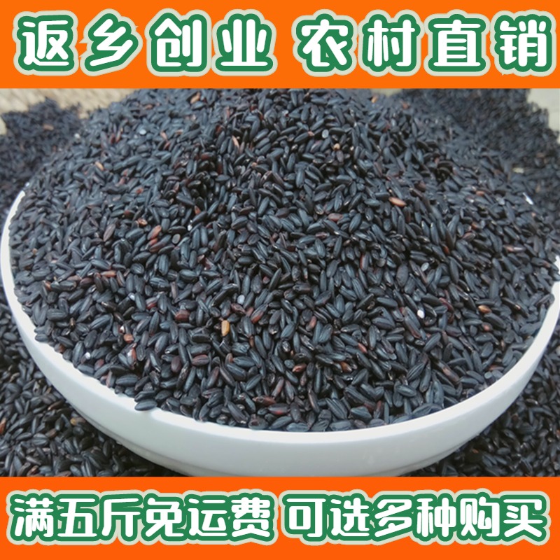 黑米黑香米新货 500g 农家自产新鲜黑糙米八宝米煲粥稀饭五谷杂粮