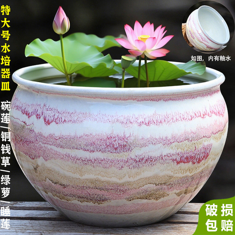 特大号无孔水培器皿花盆睡莲碗莲专用大盆轻奢高级感家用特价清仓