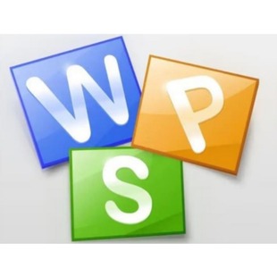 金山 Office 2019 for linux专业版办公软件V11 WPS办公软件