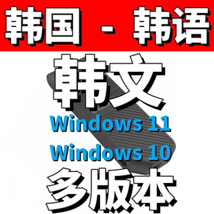 纯韩版 韩语 win11韩文10韩国 windows 11 win 10系统安装u盘