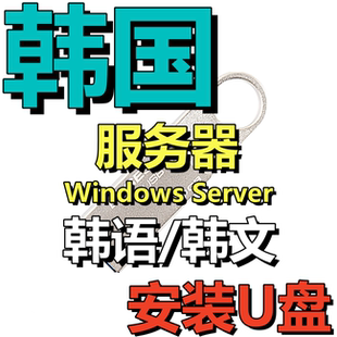 韩文服务器韩语版 Win 11 10 Server 2025 2022 2019 2016安装U盘