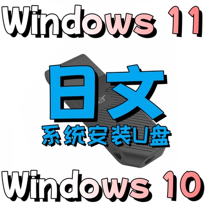 windows 10 win 11 日语日文 专业版 企业ltsc office系统安装u盘