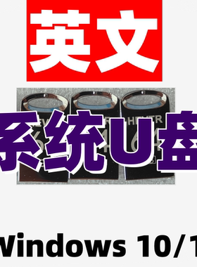 windows 10原版纯净win 11美国美版英语英文系统iso安装版u盘