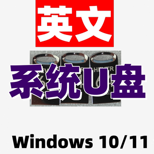 windows 10原版纯净win 11美国美版英语英文系统iso安装版u盘