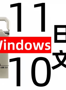 windows 11 win 10 日语日文 专业版企业ltsc office系统安装u盘