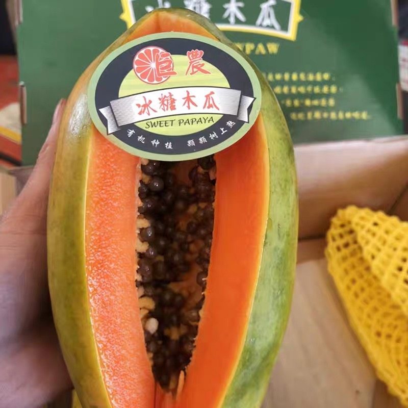 广东雷州冰糖红心牛奶木瓜树上成熟超甜3粒礼盒整箱辽宁现货包邮