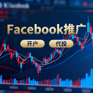 FB代理商开户代投meta广告投放 fb广告户海外投流