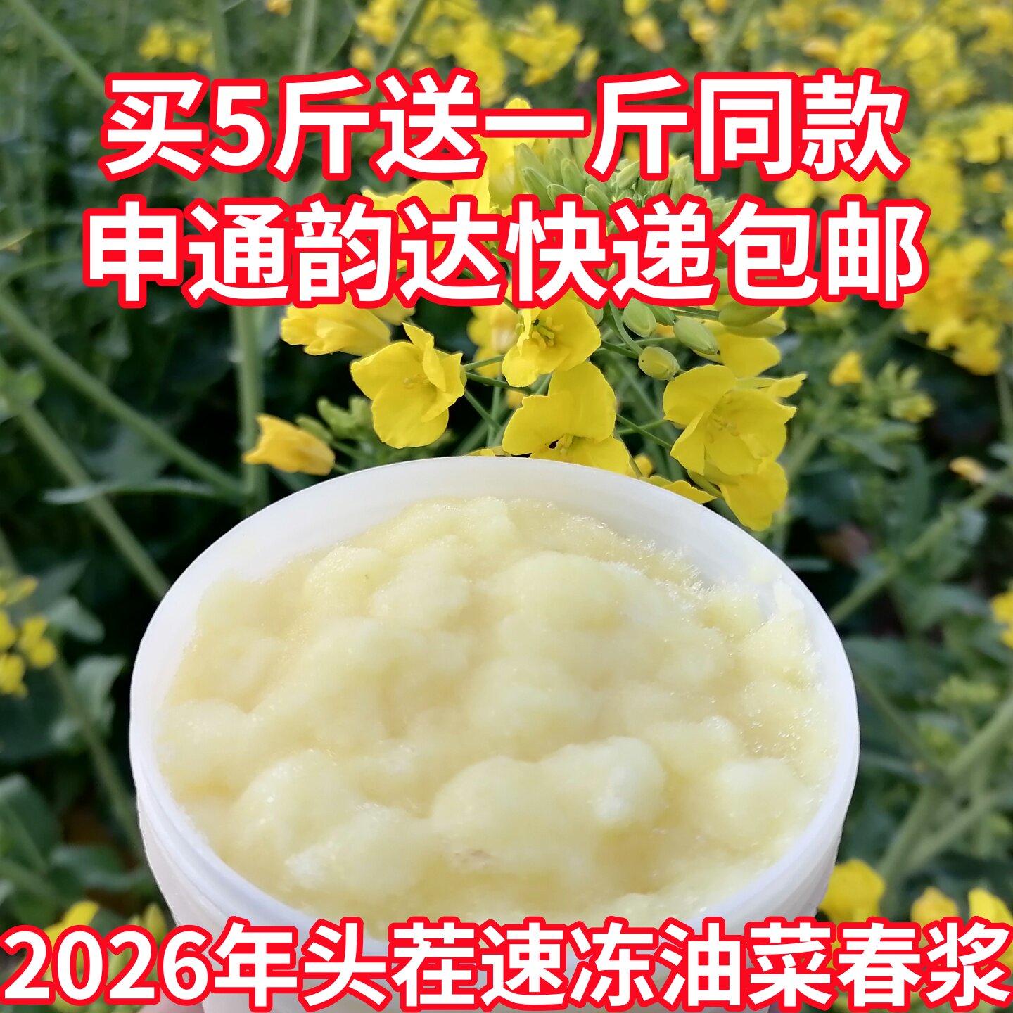 2026年油菜蜂王浆速冻新鲜纯真正品头茬春浆500克蜂皇浆