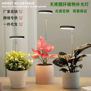 天使圆环地插式植物灯花盘伸缩杆植物补光灯全光谱仿太阳光