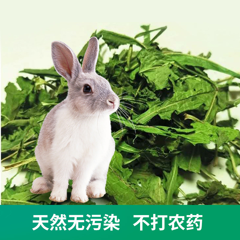 25年烘干菊苣草 营养牧草干草长胖草 龙猫兔子豚鼠营养草下奶草,宠物/宠物食品及用品,兔兔干草,淘宝优惠券,粉丝福利购,淘宝优惠卷
