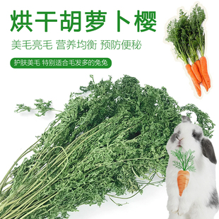 兔子龙猫荷兰猪营养草维生素补充500g 23年烘干胡萝卜樱 兔子干草