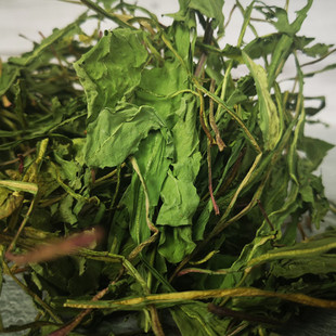 25年新草精品烘干蒲公英草 龙猫兔子荷兰猪干草调理肠胃去火500克