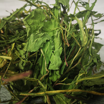精品烘干蒲公英草 胡萝卜樱子 龙猫兔子荷兰猪 调理肠胃去火500克